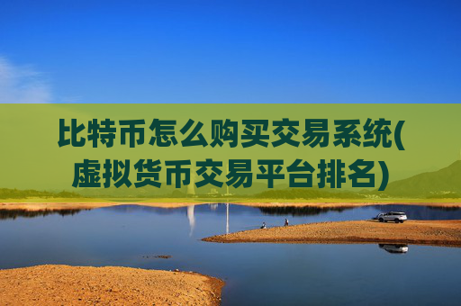 比特币怎么购买交易系统(虚拟货币交易平台排名)