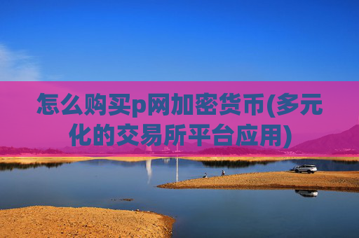 怎么购买p网加密货币(多元化的交易所平台应用)