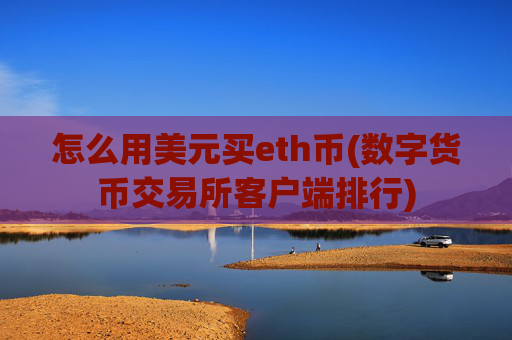 怎么用美元买eth币(数字货币交易所客户端排行)