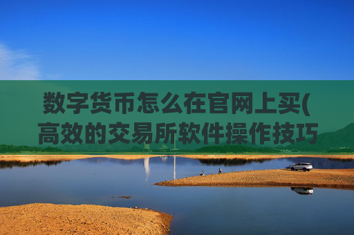 数字货币怎么在官网上买(高效的交易所软件操作技巧)