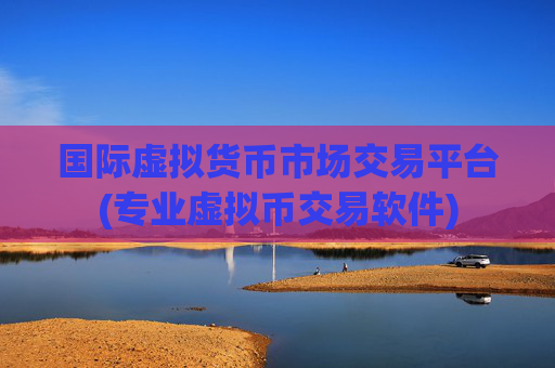 国际虚拟货币市场交易平台(专业虚拟币交易软件)