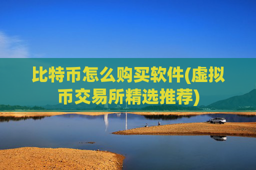 比特币怎么购买软件(虚拟币交易所精选推荐)
