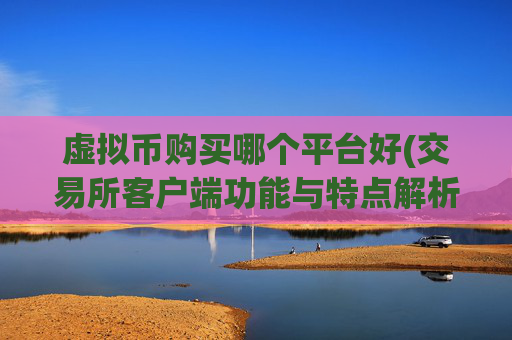 虚拟币购买哪个平台好(交易所客户端功能与特点解析)