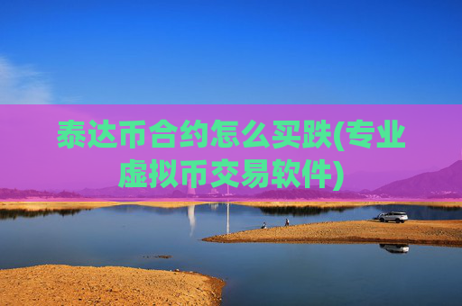 泰达币合约怎么买跌(专业虚拟币交易软件)