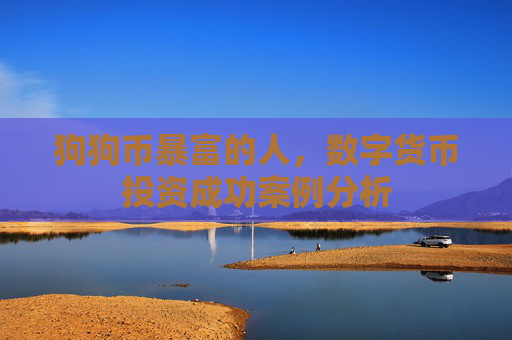 狗狗币暴富的人，数字货币投资成功案例分析