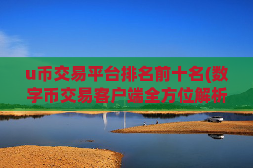 u币交易平台排名前十名(数字币交易客户端全方位解析)