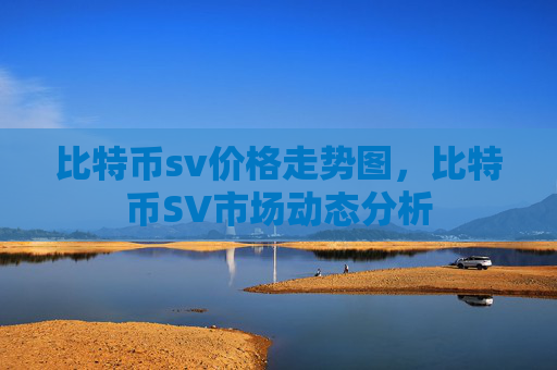 比特币sv价格走势图，比特币SV市场动态分析