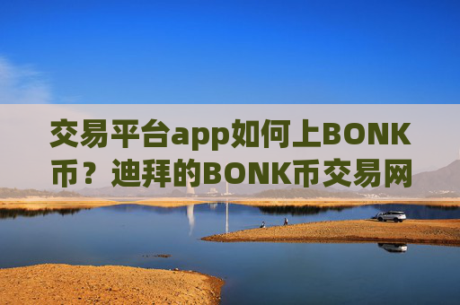 交易平台app如何上BONK币？迪拜的BONK币交易网站
