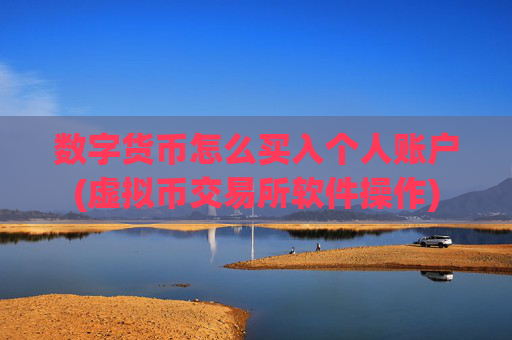 数字货币怎么买入个人账户(虚拟币交易所软件操作)
