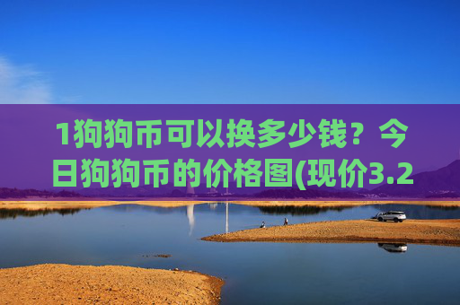 1狗狗币可以换多少钱？今日狗狗币的价格图(现价3.2207元)