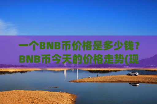 一个BNB币价格是多少钱？BNB币今天的价格走势(现价5339.23元)