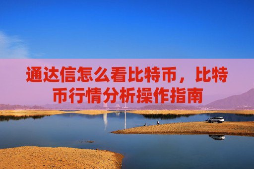 通达信怎么看比特币，比特币行情分析操作指南