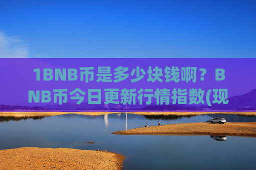 1BNB币是多少块钱啊？BNB币今日更新行情指数(现价5317.48元)