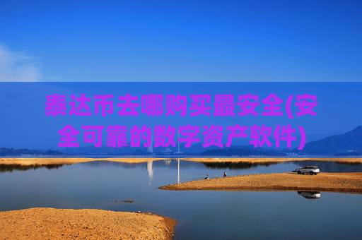泰达币去哪购买最安全(安全可靠的数字资产软件)
