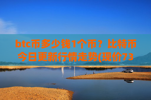 btc币多少钱1个币？比特币今日更新行情走势(现价732558.01元)