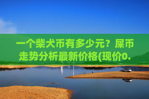 一个柴犬币有多少元？屎币走势分析最新价格(现价0.00022782元)