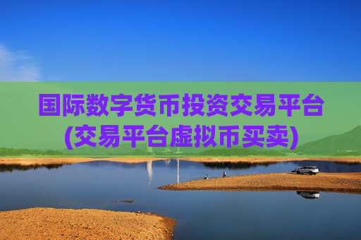 国际数字货币投资交易平台(交易平台虚拟币买卖)