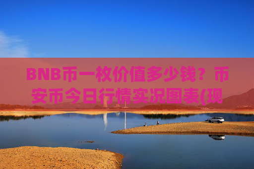 BNB币一枚价值多少钱？币安币今日行情实况图表(现价5313.42元)