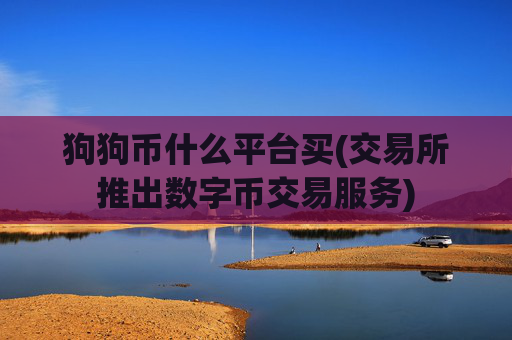 狗狗币什么平台买(交易所推出数字币交易服务)