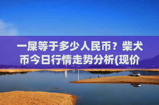 一屎等于多少人民币？柴犬币今日行情走势分析(现价0.00022807元)