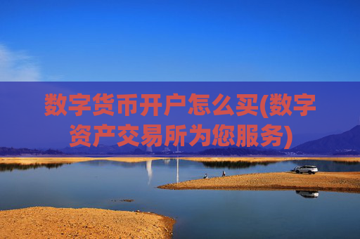 数字货币开户怎么买(数字资产交易所为您服务)