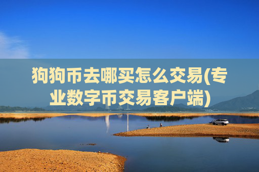 狗狗币去哪买怎么交易(专业数字币交易客户端)