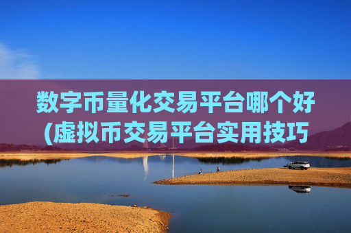 数字币量化交易平台哪个好(虚拟币交易平台实用技巧)