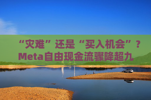 “灾难”还是“买入机会”？Meta自由现金流骤降超九成