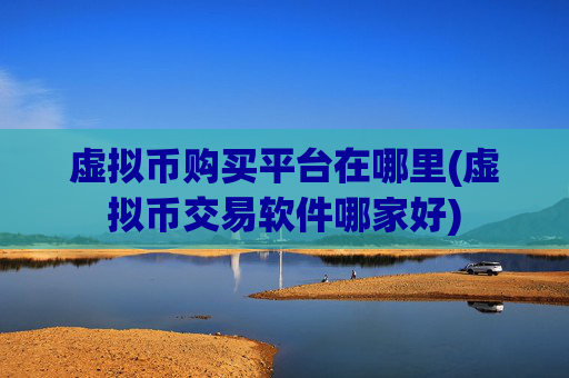 虚拟币购买平台在哪里(虚拟币交易软件哪家好)