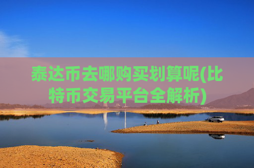 泰达币去哪购买划算呢(比特币交易平台全解析)