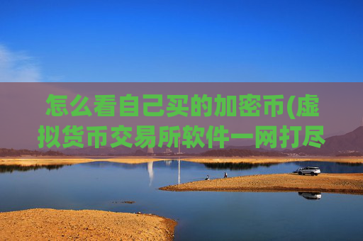 怎么看自己买的加密币(虚拟货币交易所软件一网打尽)