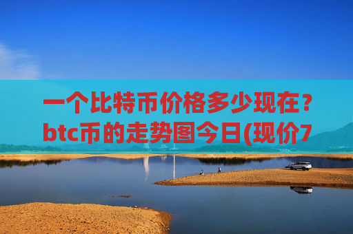 一个比特币价格多少现在？btc币的走势图今日(现价731009.35元)
