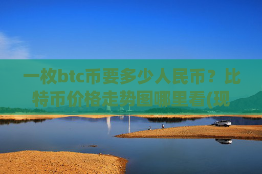 一枚btc币要多少人民币？比特币价格走势图哪里看(现价737093.28元)