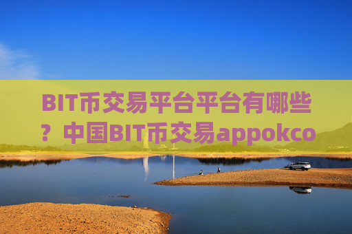 BIT币交易平台平台有哪些？中国BIT币交易appokcoin