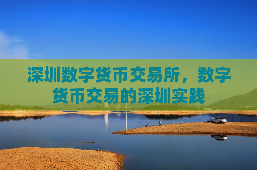 深圳数字货币交易所，数字货币交易的深圳实践