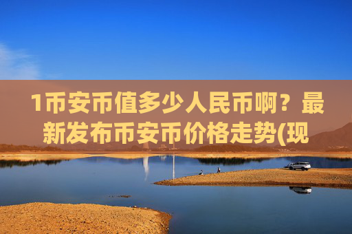 1币安币值多少人民币啊？最新发布币安币价格走势(现价5315.02元)
