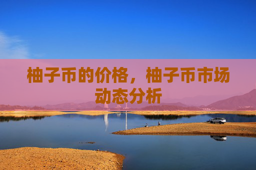 柚子币的价格，柚子币市场动态分析