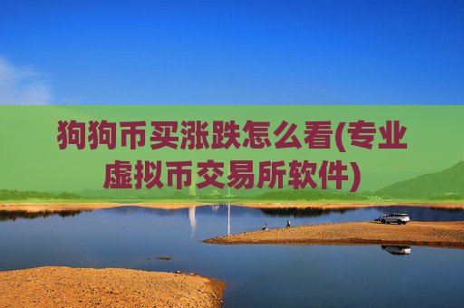 狗狗币买涨跌怎么看(专业虚拟币交易所软件)
