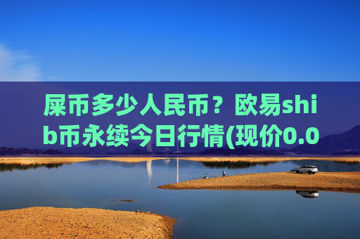 屎币多少人民币？欧易shib币永续今日行情(现价0.00022691元)