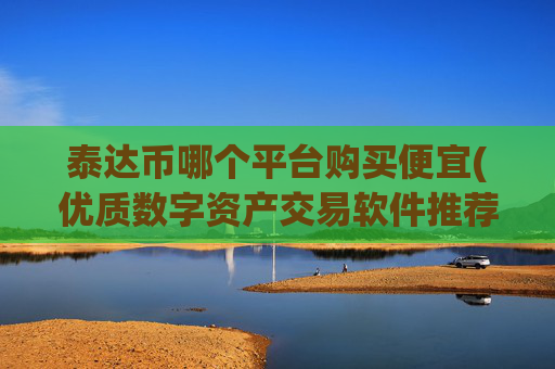泰达币哪个平台购买便宜(优质数字资产交易软件推荐)