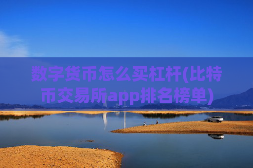 数字货币怎么买杠杆(比特币交易所app排名榜单)