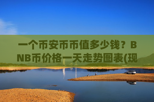 一个币安币币值多少钱？BNB币价格一天走势图表(现价5313.2元)