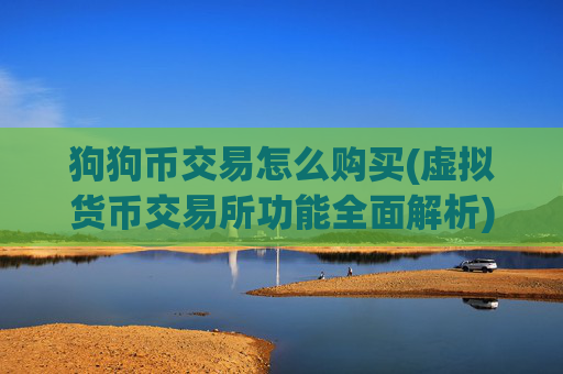 狗狗币交易怎么购买(虚拟货币交易所功能全面解析)