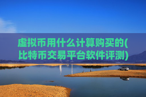 虚拟币用什么计算购买的(比特币交易平台软件评测)