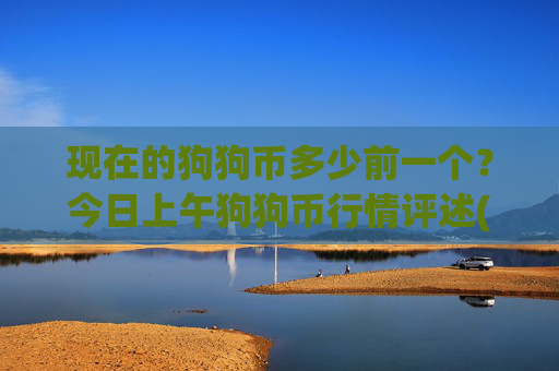 现在的狗狗币多少前一个?今日上午狗狗币行情评述(现价2.3413元)