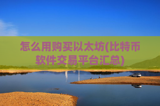 怎么用购买以太坊(比特币软件交易平台汇总)