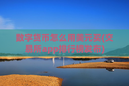 数字货币怎么用美元买(交易所app排行榜发布)