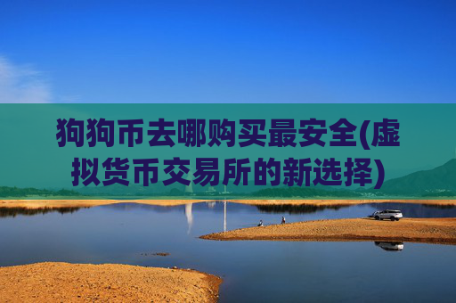 狗狗币去哪购买最安全(虚拟货币交易所的新选择)