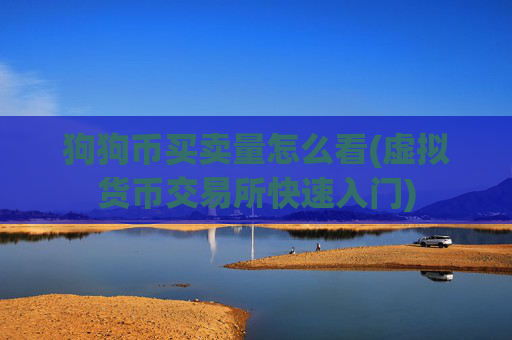 狗狗币买卖量怎么看(虚拟货币交易所快速入门)