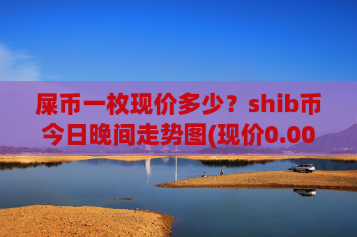 屎币一枚现价多少？shib币今日晚间走势图(现价0.00022669元)